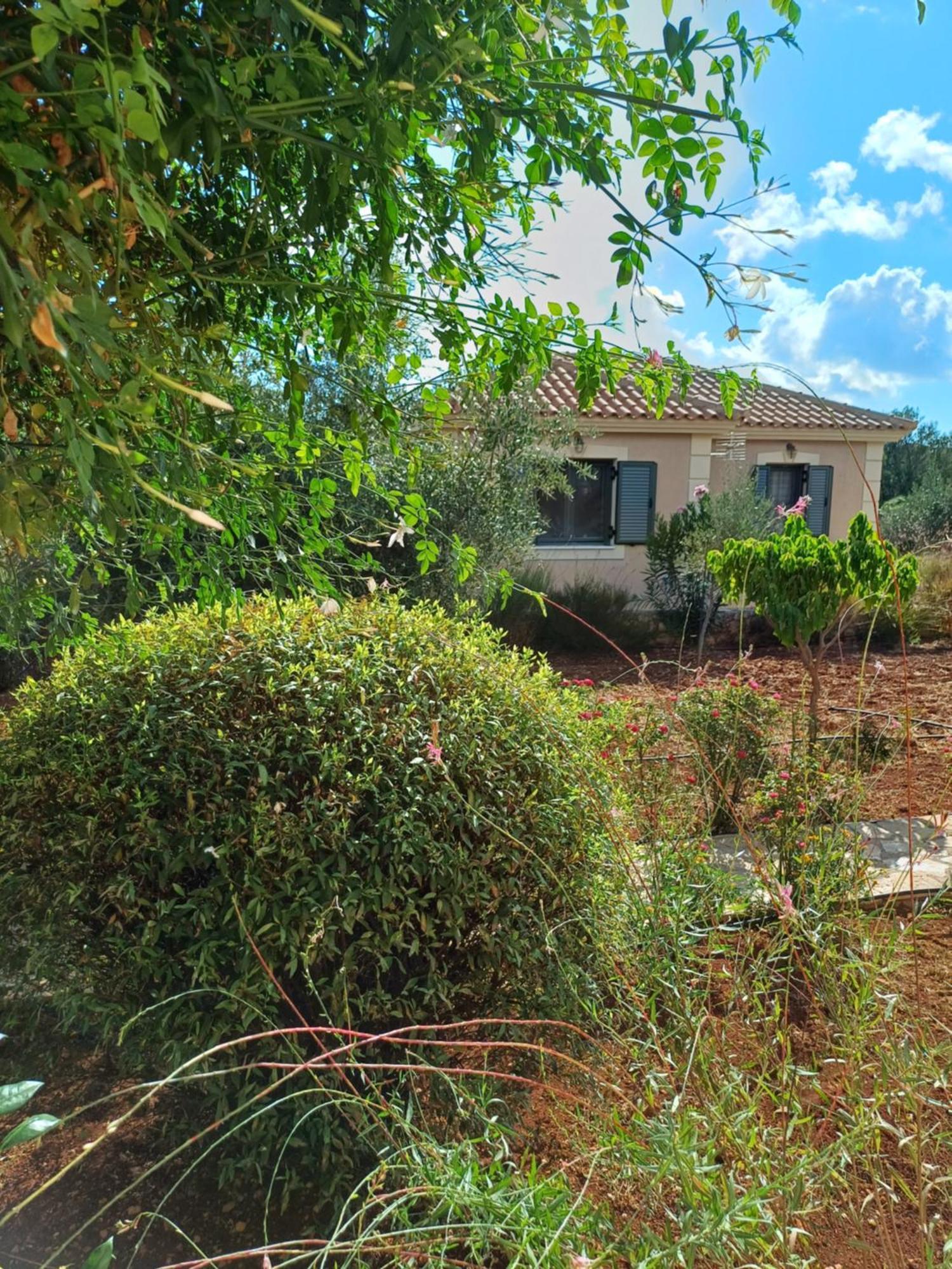 Korallis Villas Karavádhos Habitación foto